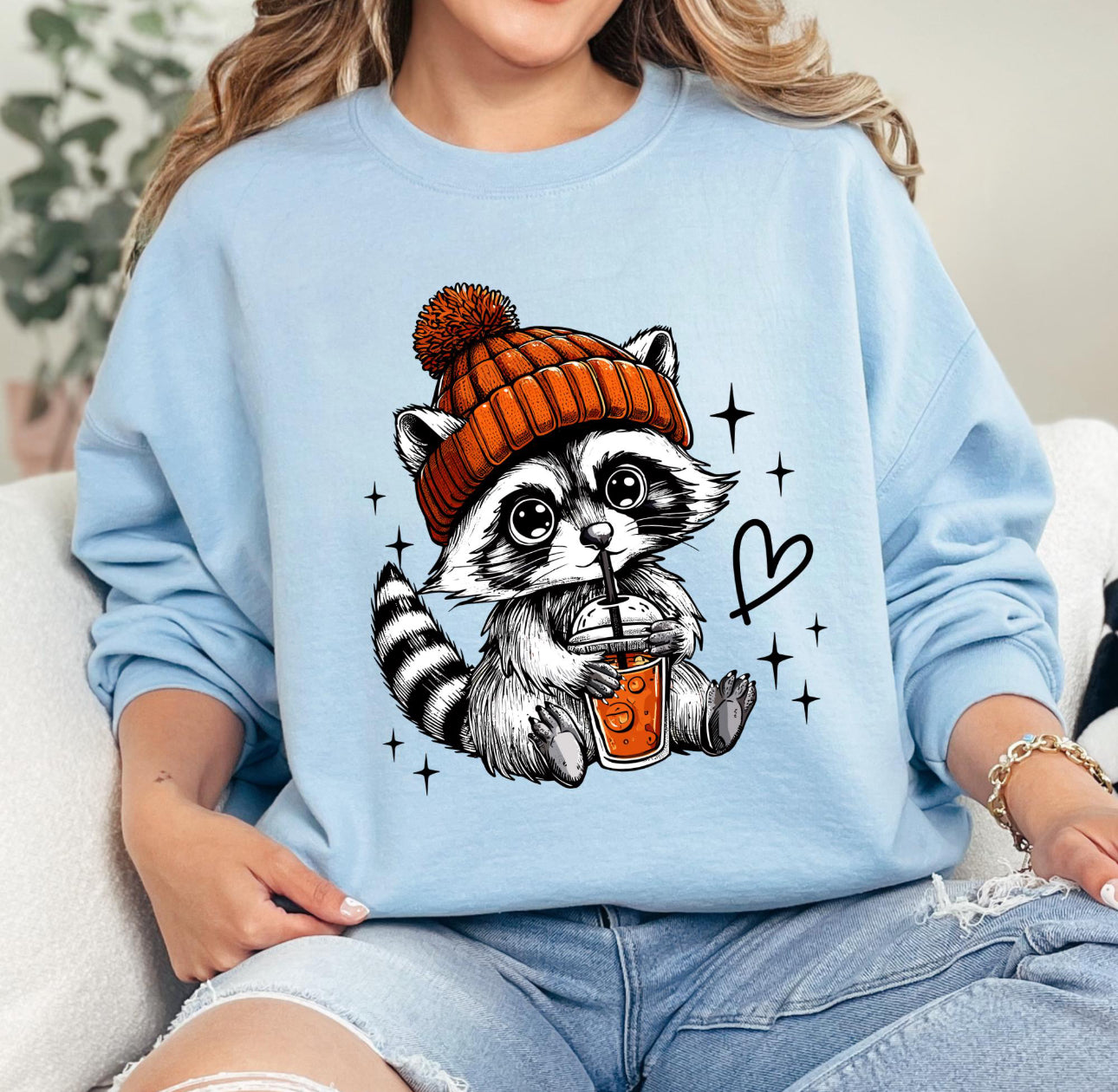Retro Racoon